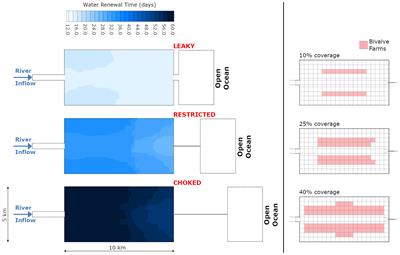 Nutrient-Loading Mitigation by Shellfish Aquaculture in Semi-Enclosed Estuaries